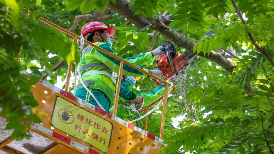 郑州航空港豫州大道绿化工程