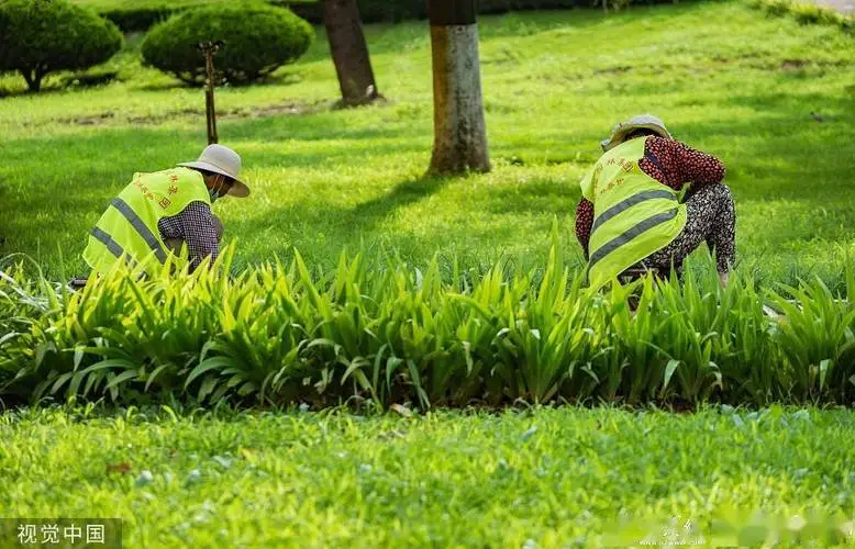 停车场绿化工程验收规范